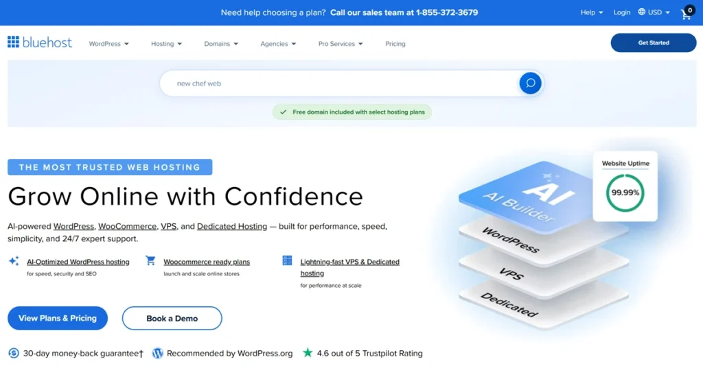 Bluehost Hosting Review For Small Business Websites