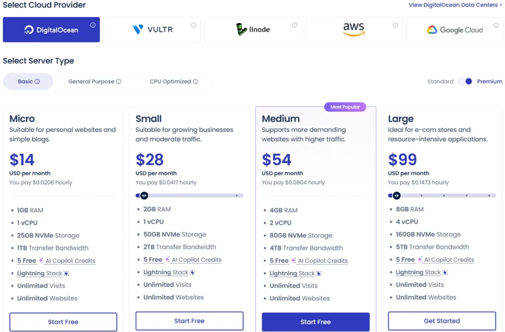 Cloudways pricing plans showing managed cloud hosting cost comparison with scalable server options and flexible pay as you go pricing