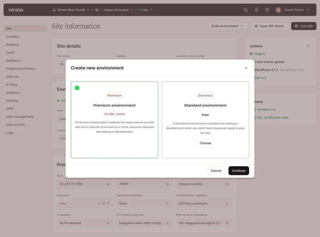 Should I Use Kinsta For My Website