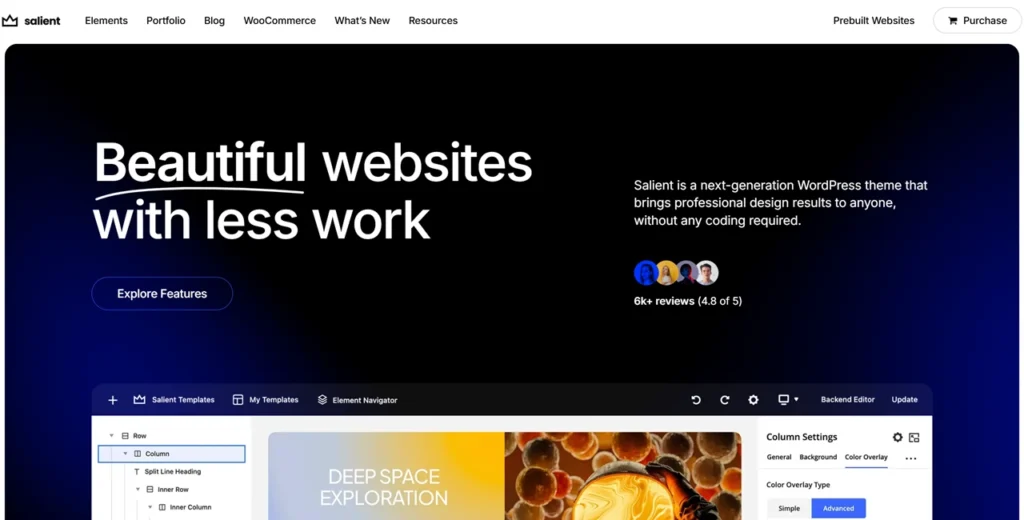 Is Salient WordPress Theme Worth It
