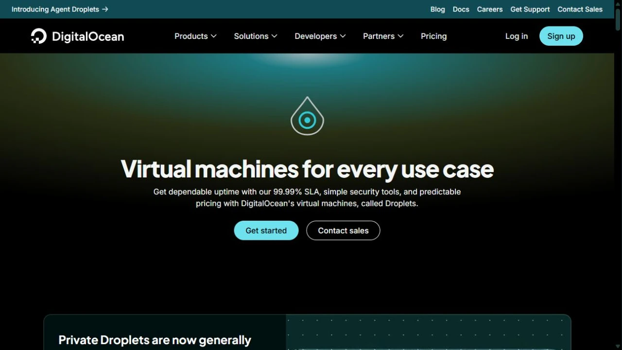 Screenshot of the public DigitalOcean Droplets page describing its virtual machines